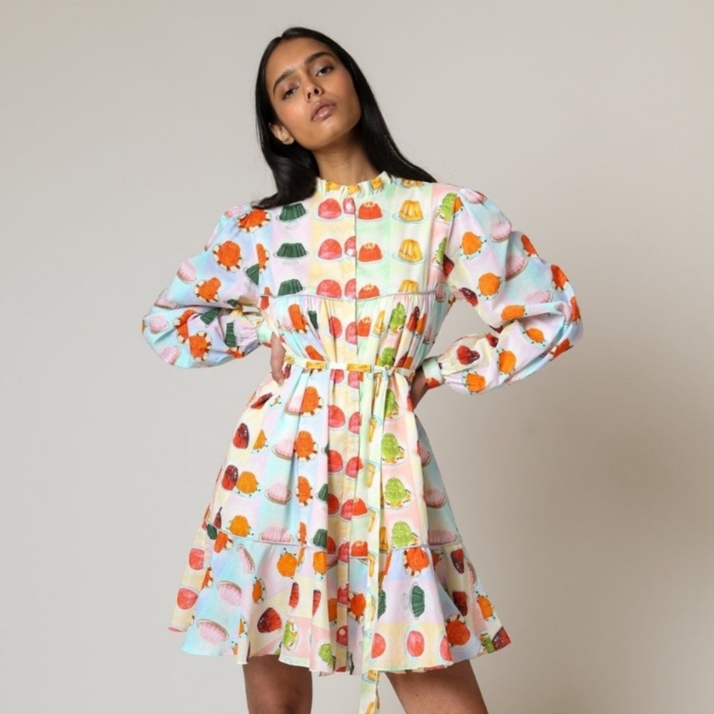ISO RACHEL ANTONOFF JELLO DRESS (DO NOT BUY)